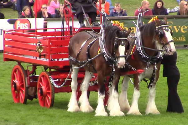 Scottish agriculture, Clydesdale hors power, past Scottish Heritage on Film,